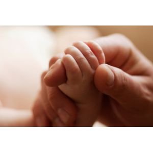 picture of baby hand hold finger